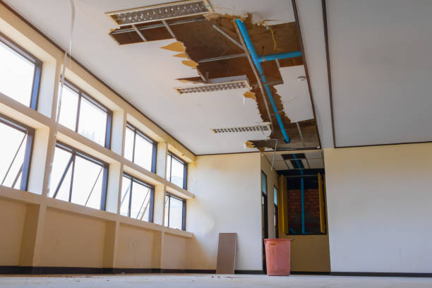 Water damage restoration mold remediation in West Siloam Springs, OK