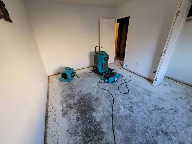Best Commercial water damage restoration  in West Siloam Springs, OK