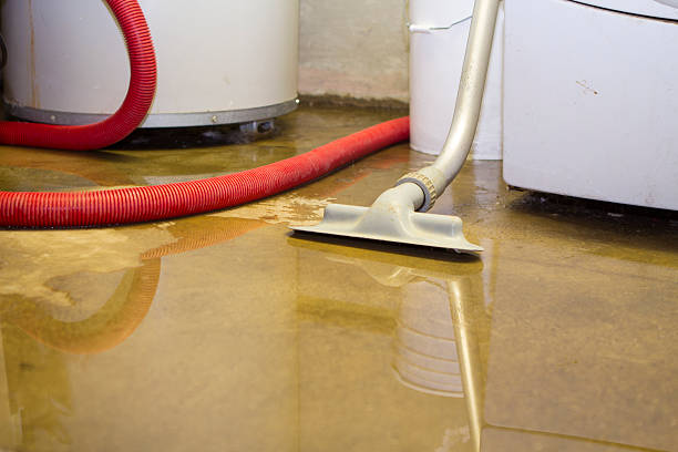 Best Sewage cleanup and water damage restoration  in West Siloam Springs, OK