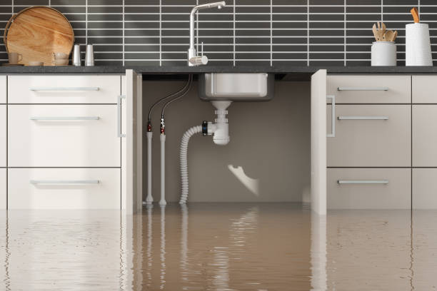 Best Water damage cleanup near me  in West Siloam Springs, OK