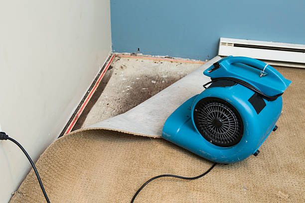 Best 24-hour water damage restoration  in West Siloam Springs, OK